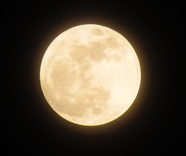 Lua Cheia Lua Cheia